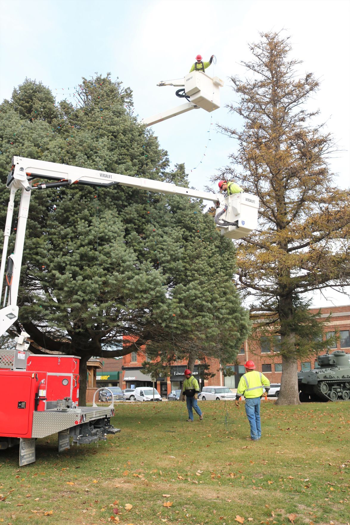Forest City crew strings lights on courthouse tree.JPG